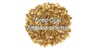 TISANE BIO DONG QUAI / ANGÉLIQUE CHINOISE / Angelica sinensis (Racines) 